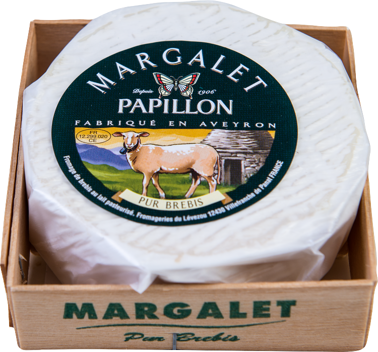 Papillon Margalet får vitmögelost