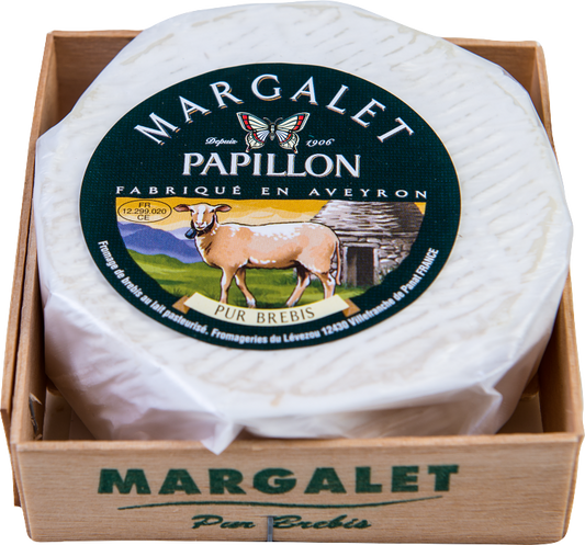 Papillon Margalet får vitmögelost